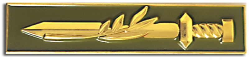 Front Combat Soldiers Badge