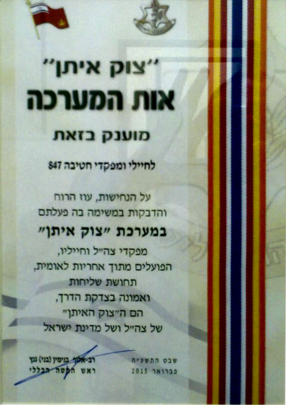 Protective Edge  ribbon division 847