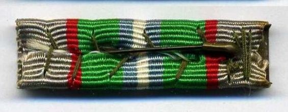 Hagana Service Ribbon back 1