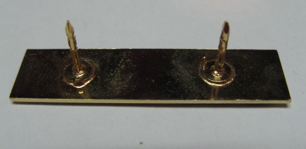 campaign ribbon Second Lebanon War enamel back