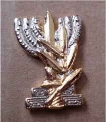 President's Award for Outstanding Soldiers