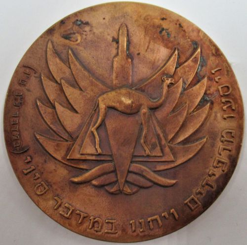 Israel Air Force Medal or Keychain