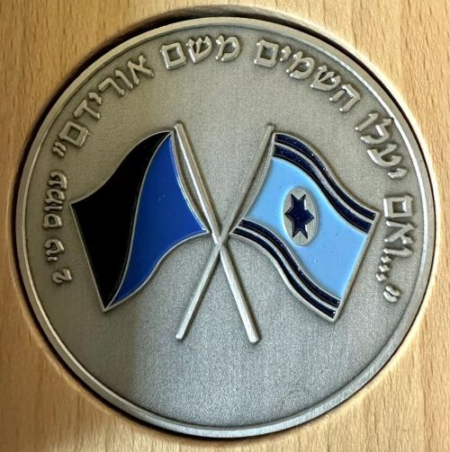 Israel Air Force Medal or Keychain