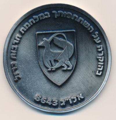 Iron Swords War commemorative medal