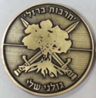 Iron Swords War commemorative medal