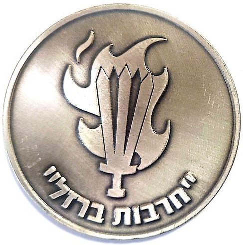 Iron Swords War Medal