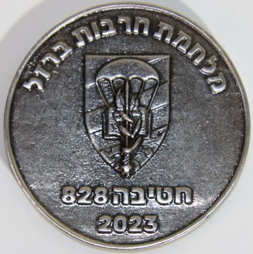 Iron Swords War Medal