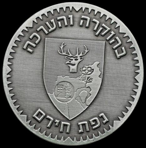 Iron Swords War Medal