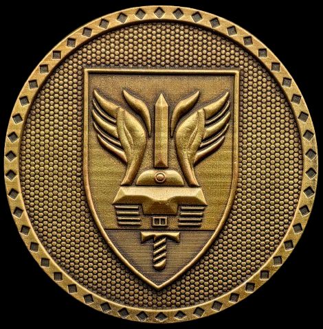 Iron Swords War Medal