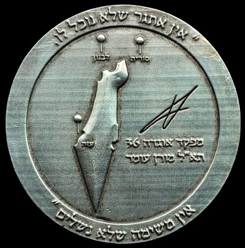 Iron Swords War Medal