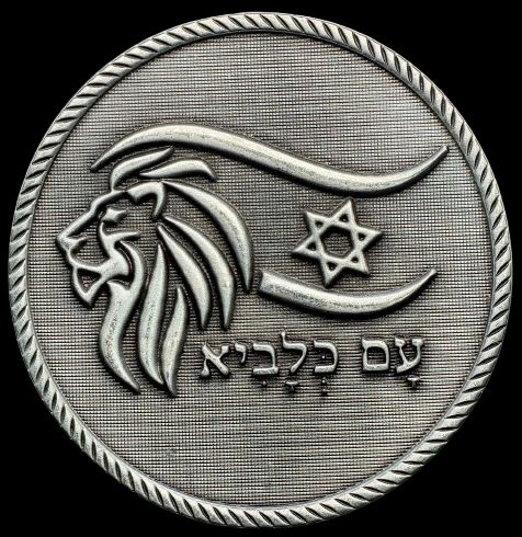 Iron Swords War Medal