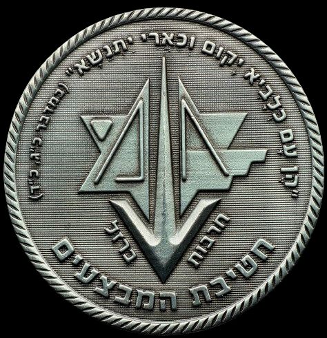 Iron Swords War Medal