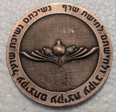 Iron Swords War commemorative medal