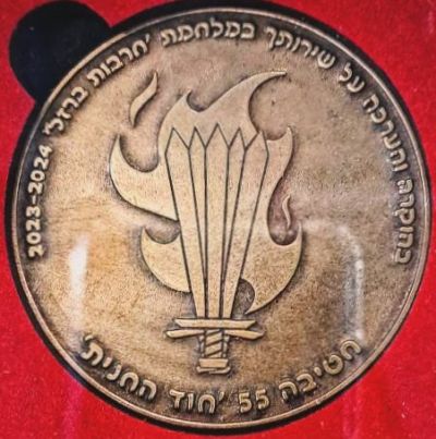 Iron Swords War commemorative medal