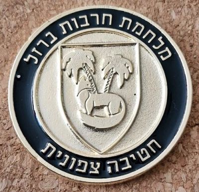 Iron Swords War commemorative medal