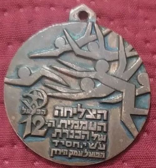 Israeli Medal Kinneret Crossing Swim Competition