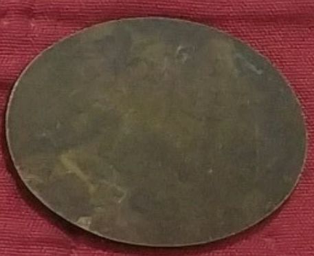 Israeli Medal Kinneret Crossing Swim Competition