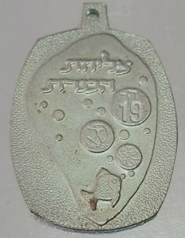 Israeli Medal Kinneret Crossing Swim Competition