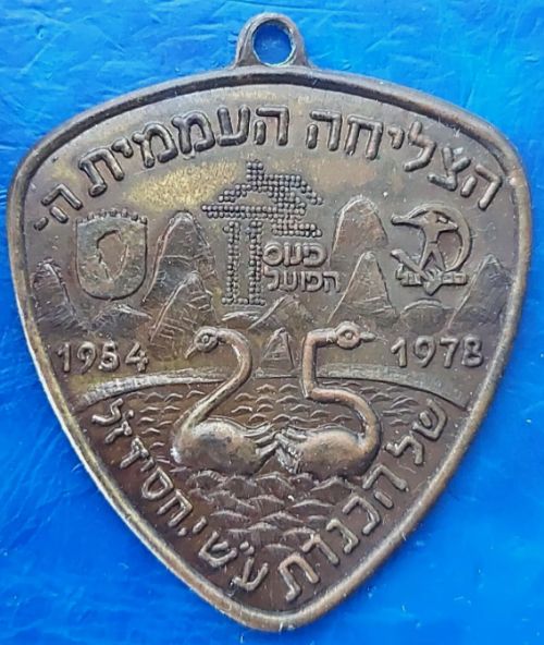 Israeli Medal Kinneret Crossing Swim Competition