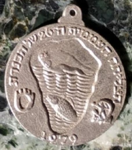 Israeli Medal Kinneret Crossing Swim Competition