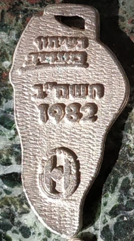 Israeli Medal Kinneret Crossing Swim Competition