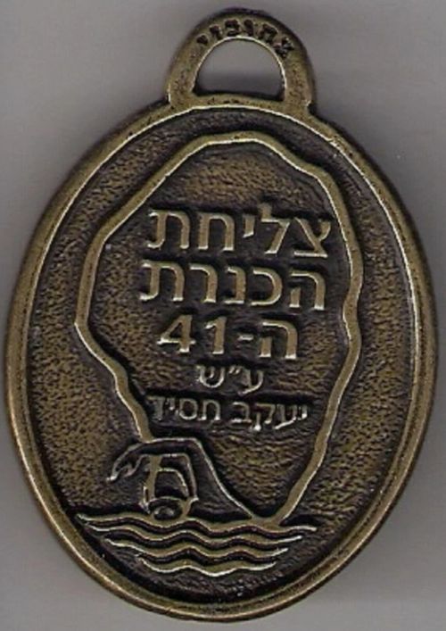 Israeli Medal Kinneret Crossing Swim Competition