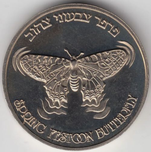 Medal Butterfly And Tulip