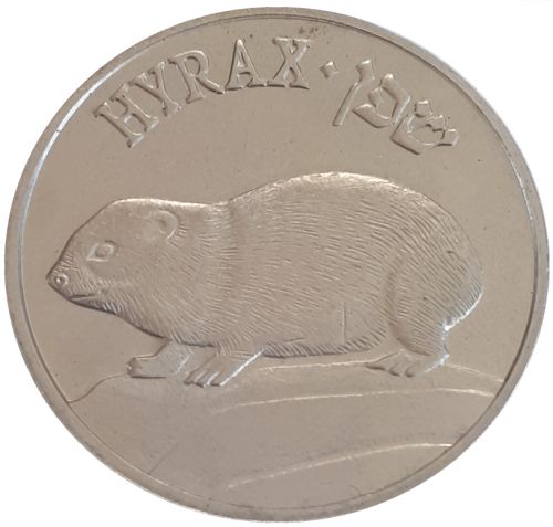 Medal Hyrax And Anemone