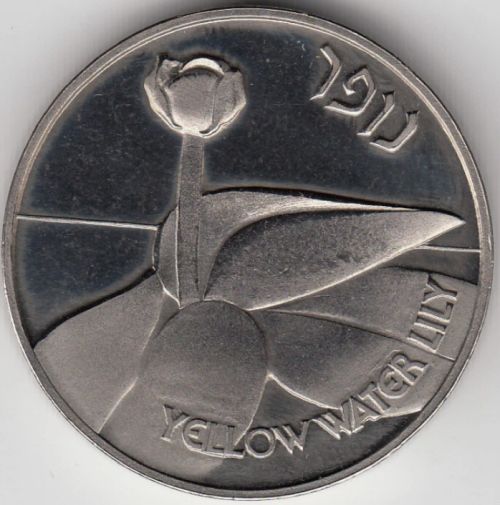 Medal Tilapia Fish And Water Lily