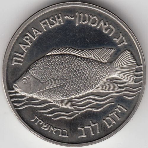 Medal Tilapia Fish And Water Lily