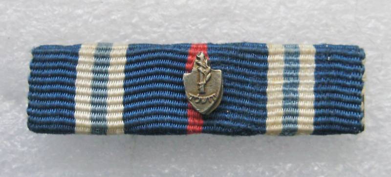 Magen Yerushalaim Badge on ribbon