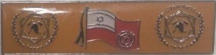 Israel Fire brigade Citation