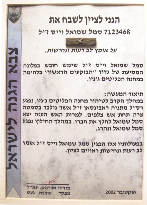 Document for the Divisional Commander Citation