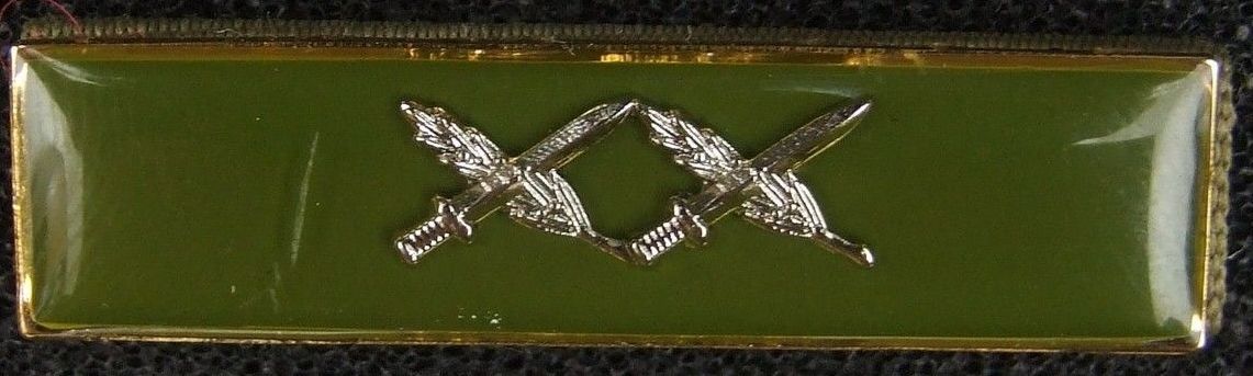 Regional Commander citation