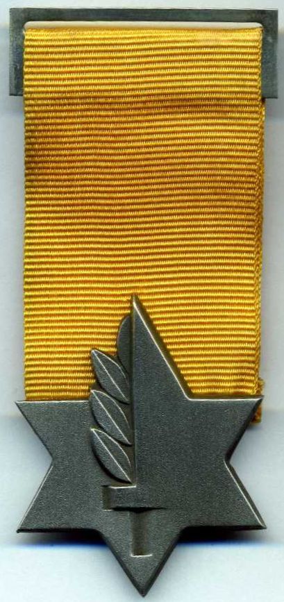 Version of Medal of Valor