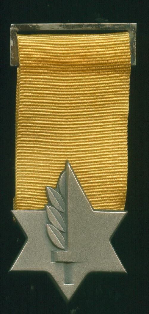 Version of Medal of Valor