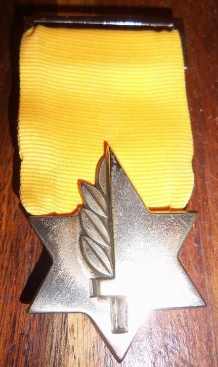 Version of Medal of Valor