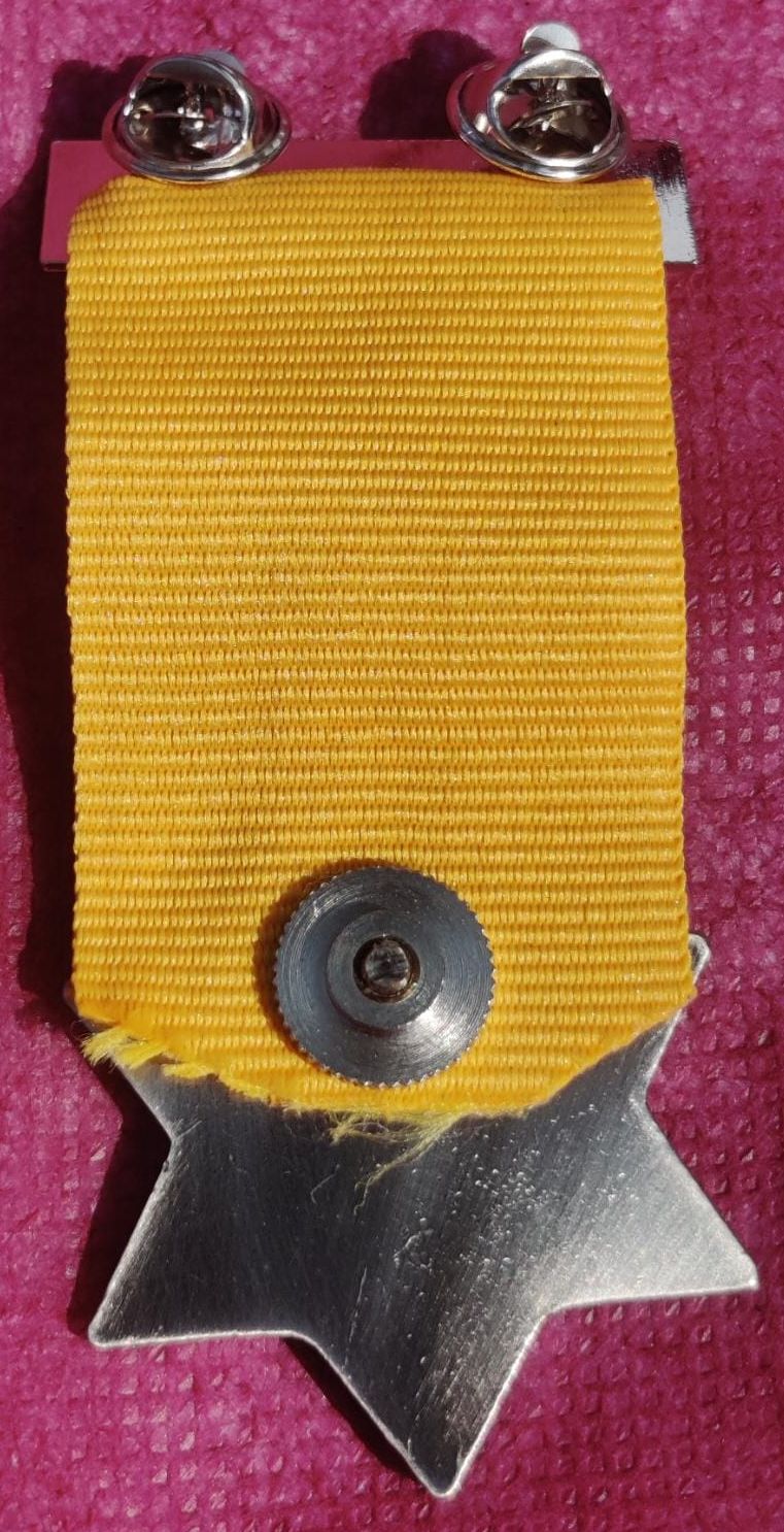 Back of version of Medal of Valor