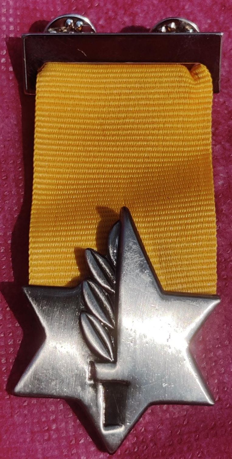 Version of Medal of Valor