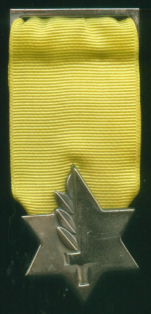 Version of Medal of Valor