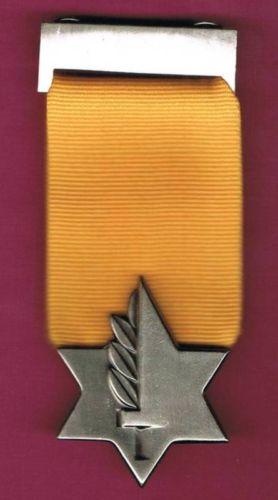 Version of Medal of Valor