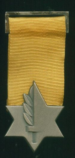 Medal of Valor