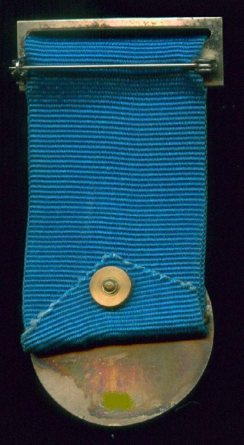 Medal of Distinguished Service back version 2