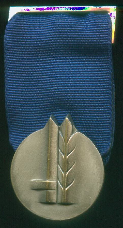 Medal of Distinguished Service front version 2001