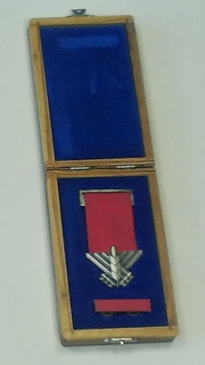 Israel Medal of Courage, in box