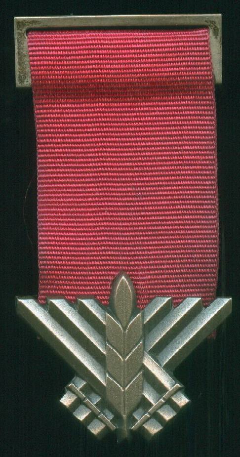 Israel Medal of Courage, version 2 front