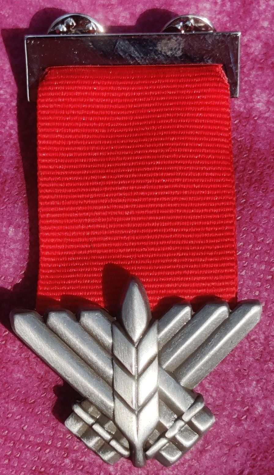 Israel Medal of Courage, version 2022 front
