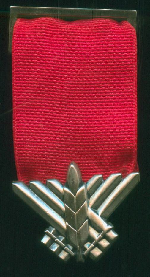 Israel Medal of Courage, version 2001 front