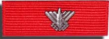 Israel Medal of Courage, ribbon, twide awarded