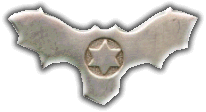 Israel IDF Air Force Badge